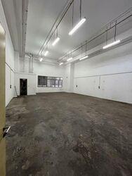 North Spring Bizhub (D27), Factory #590635221
